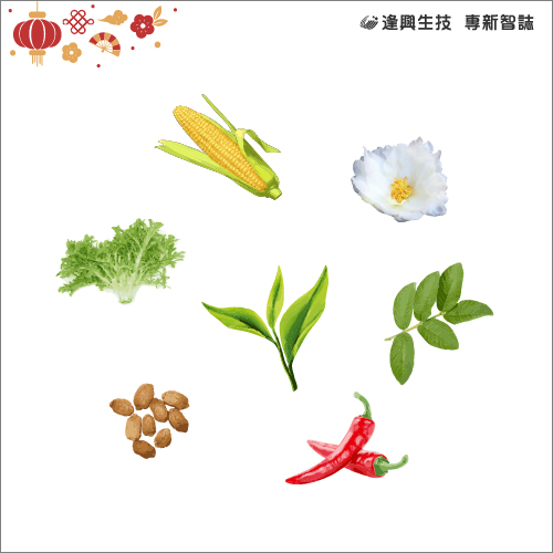 vol.006 專新智誌_5-油切茶成分_簡中