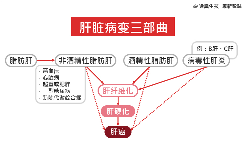 vol.011 專新智誌_2-肝臟病變?nèi)壳鷂簡(jiǎn)中
